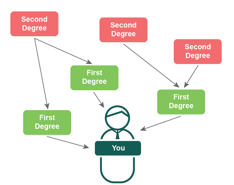 Citation and authorship networks